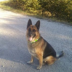 Meet your Posher, Mindy